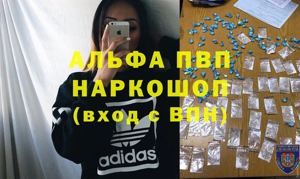 гидра Елабуга