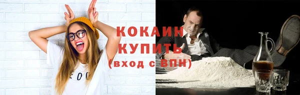 стаф Дмитровск