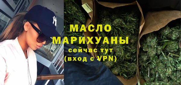 гидра Елабуга