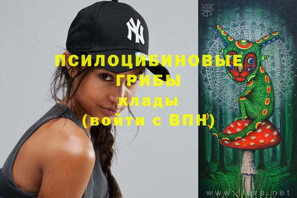 МДМА Ельня