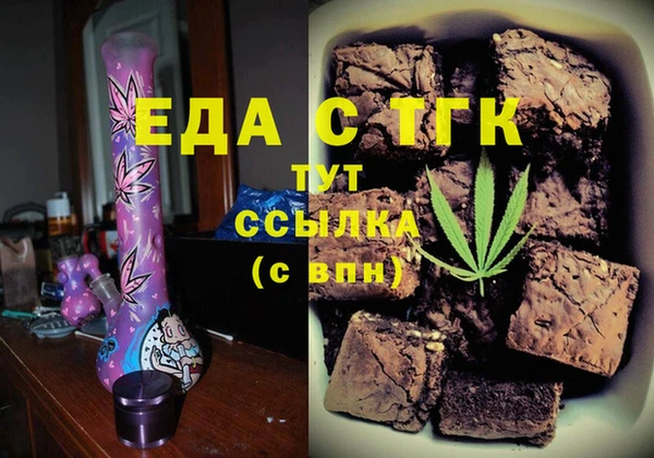 гидра Елабуга