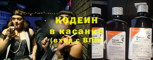 гидра Елабуга