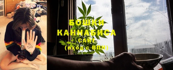 гидра Елабуга