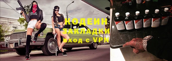 шишки Заволжск