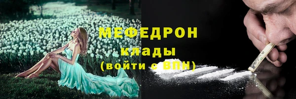 гидра Елабуга