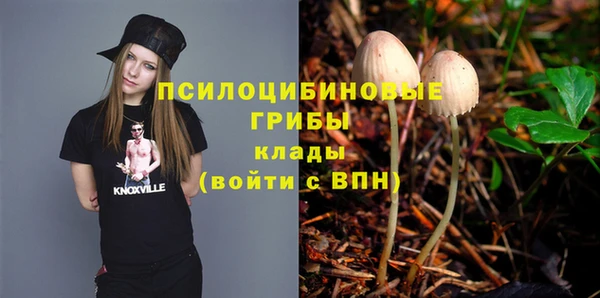 МДМА Ельня