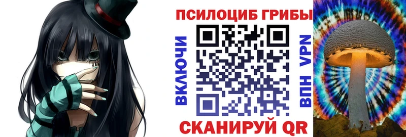 Галлюциногенные грибы мицелий  Купить закладки  Нижнеудинск 
